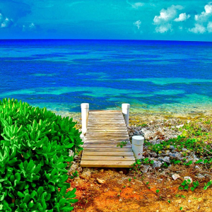 Cayman DockBFTVTV